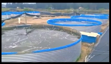 鍍鋅板養(yǎng)殖帆布魚池